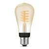 Philips Hue White Ambiance E27 Edison ST64 Filament 1x300lm - LED -Philips Shop unnamed file 34
