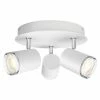 Philips Hue White Ambience Adore - LED 1 Philips Hue White Ambience Adore - LED -Philips Shop unnamed file 681