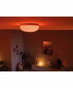 Philips Hue 34350400 - LED -Philips Shop unnamed file 780